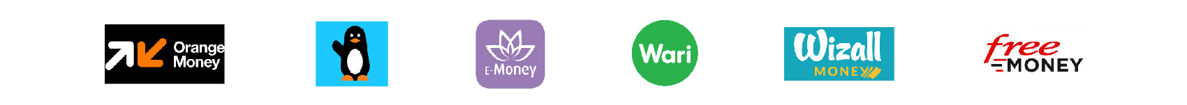 Solutions informatiques : illustration service de payement/monétique