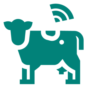 image illustrative de la solution Gaynako